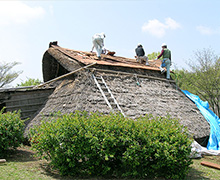 復元竪穴住居の屋根の補修作業